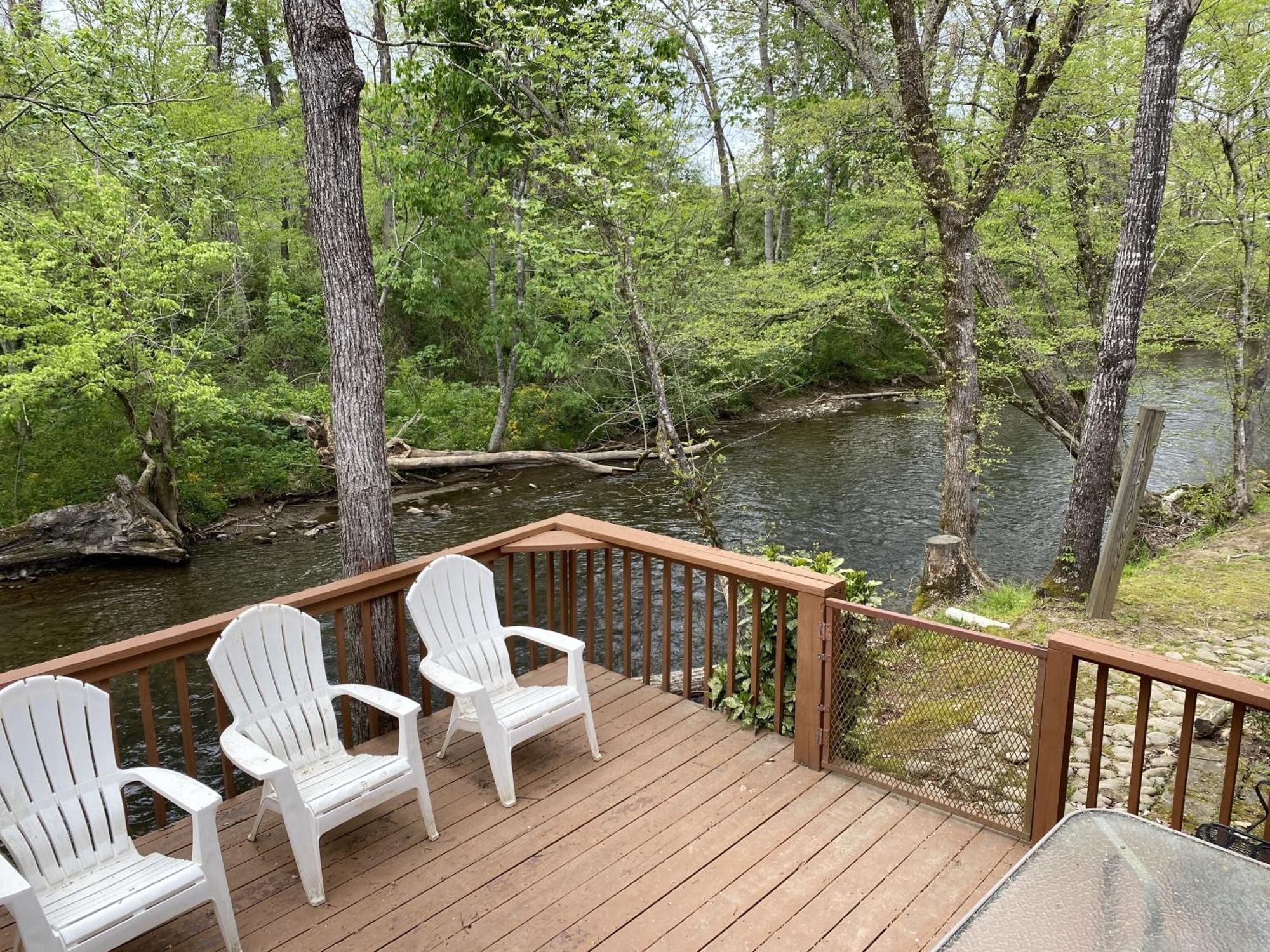Gray'S Place On Cosby Creek - 2 Bedrooms, 2 Baths, Sleeps 6 Home Εξωτερικό φωτογραφία
