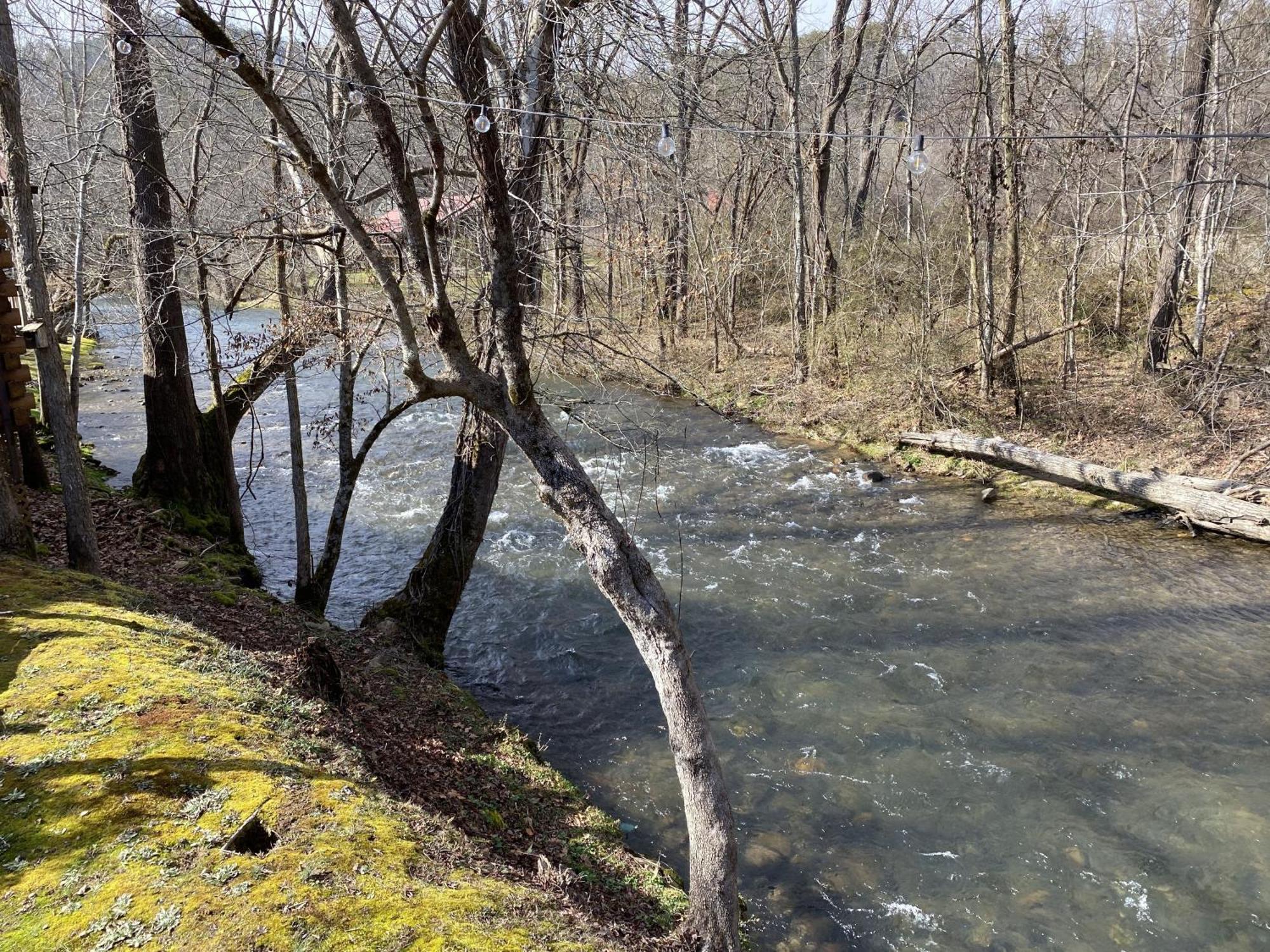 Gray'S Place On Cosby Creek - 2 Bedrooms, 2 Baths, Sleeps 6 Home Εξωτερικό φωτογραφία